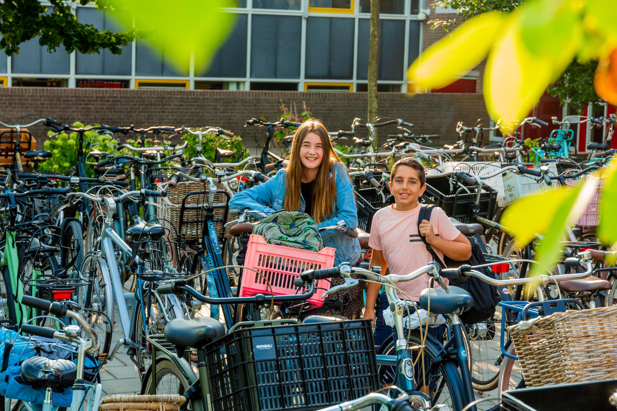 Vacature Docent Biologie Docent Biologie Werken Bij Scholengroep